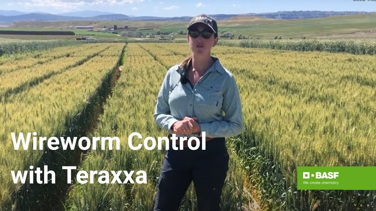 Unlocking Opportunities with Reddy Anna ID: A Comprehensive Guide